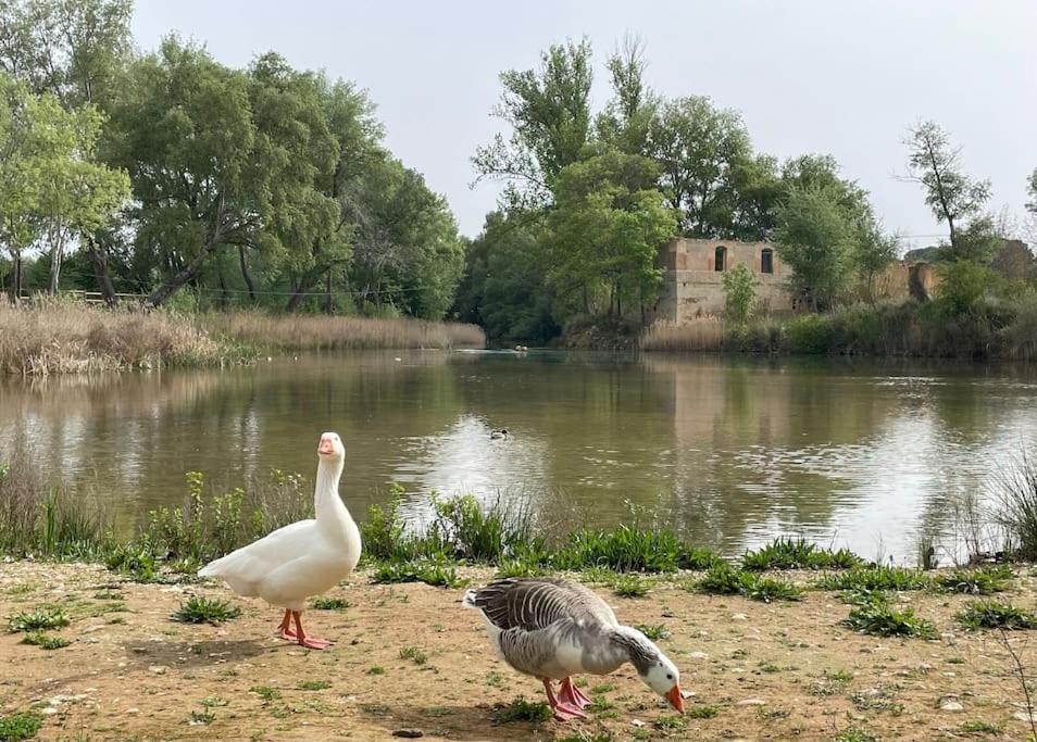 Casa Rural Berta El Picazo Eksteriør billede